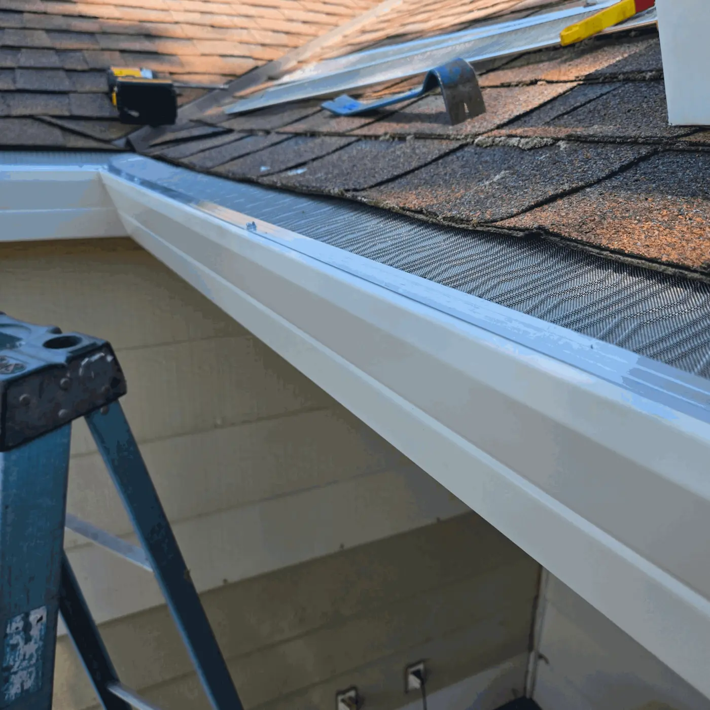 Pre-Listing Gutter Inspection Sacramento