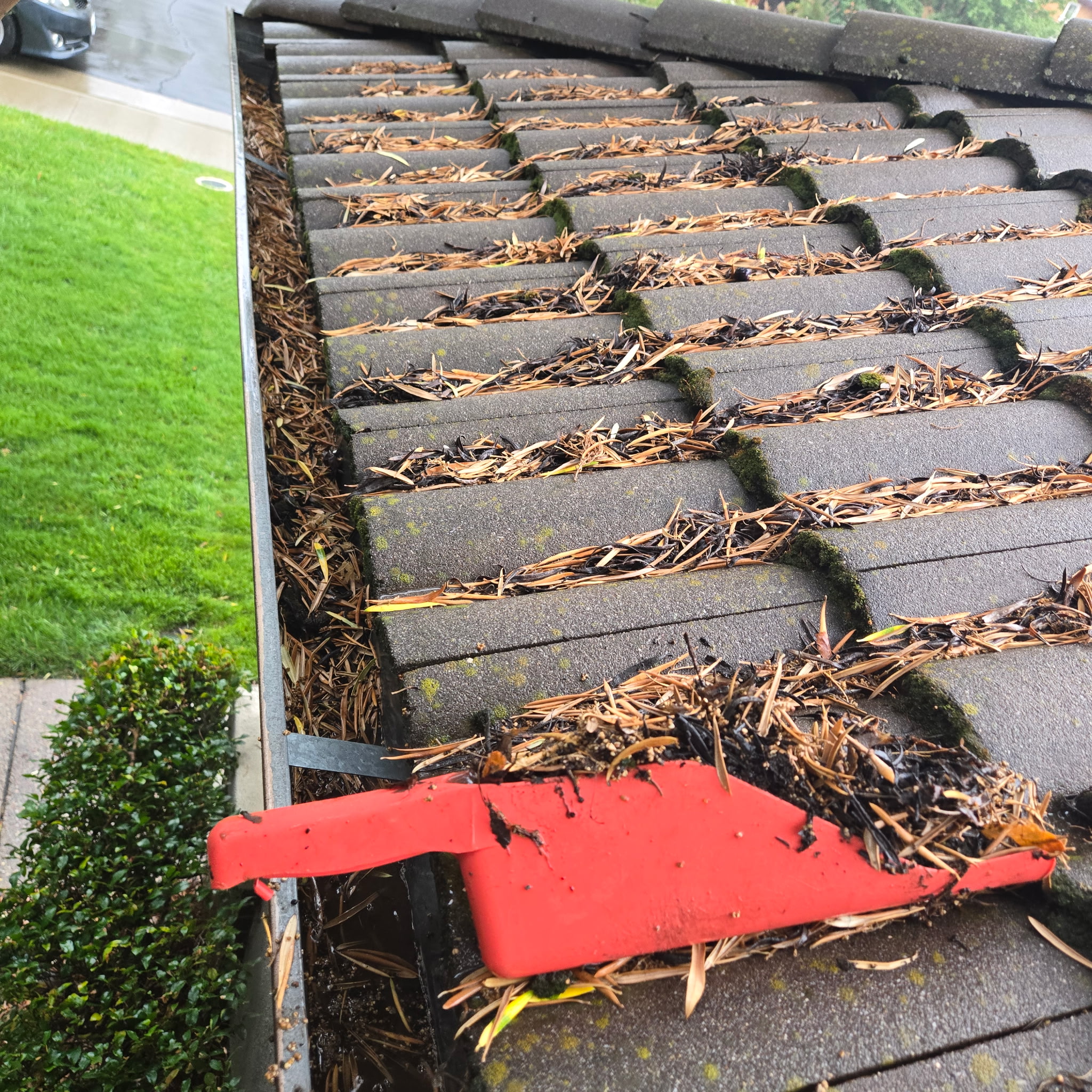 Damaged downspout causing water pooling near foundation